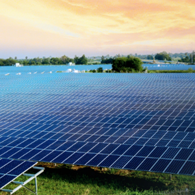 SOLAR FARM