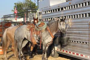 2025 Jersey County Fair